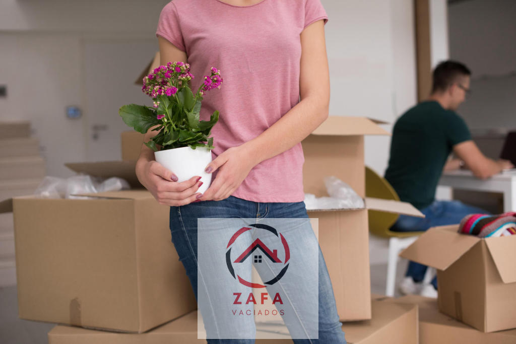 Servicio de vaciado de casas en Archena: precios y presupuestos